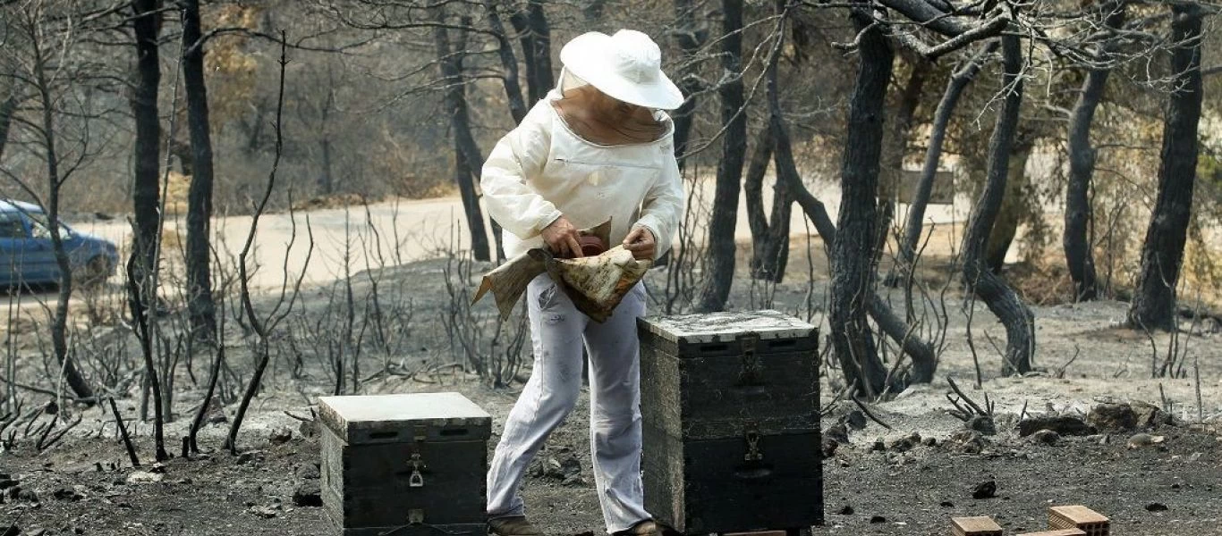 Βόρεια Εύβοια: Επανεκκίνηση της αγροτικής οικονομίας